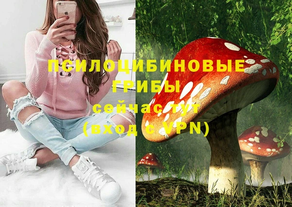 марихуана Абаза