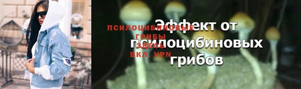 амф Алексин