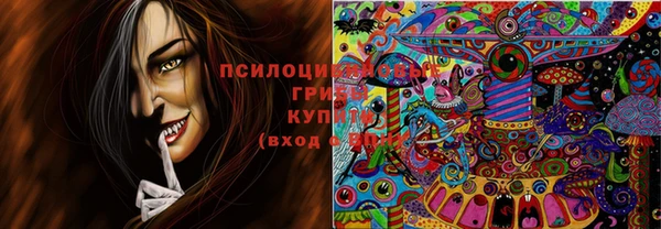 марихуана Абаза