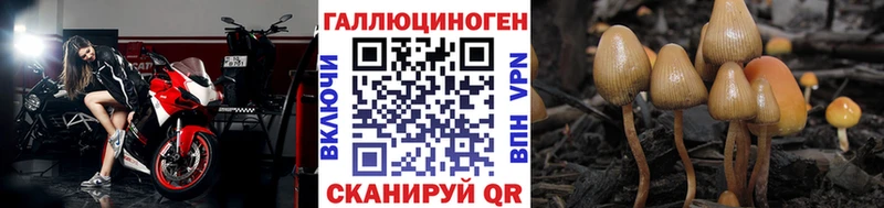 Галлюциногенные грибы ЛСД Дмитровск